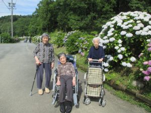 あじさいを見に行きました!